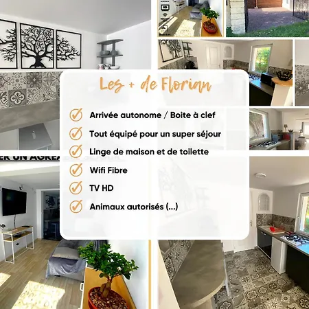 Les Papillons La Foulnerie Avec Cour Autonome 61270 Proche 61300 L'aigle -sanateflo- * Rai