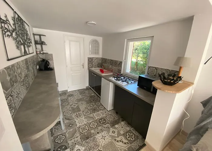 公寓 Les Papillons La Foulnerie Avec Cour Autonome 61270 Proche 61300 L'aigle -sanateflo-